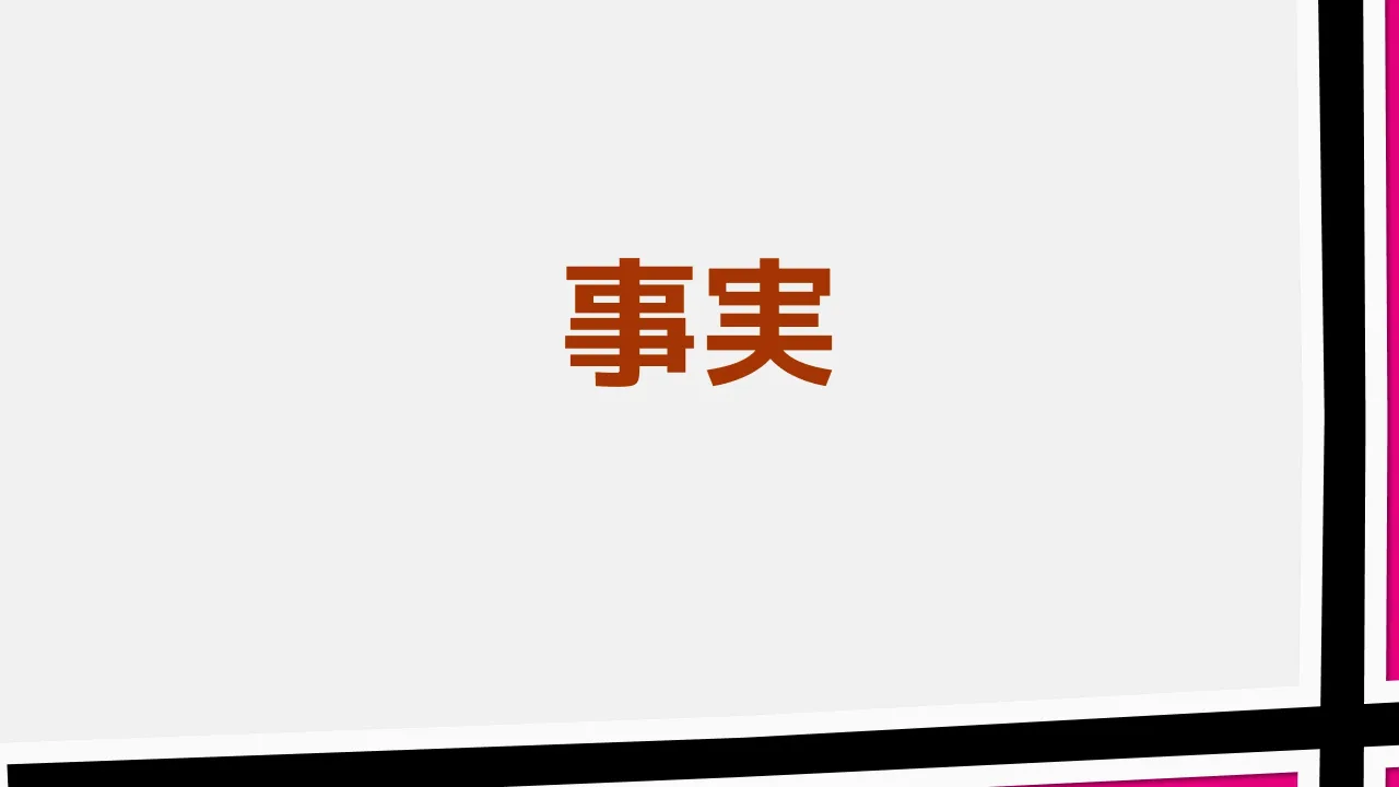 46 ページ：事実