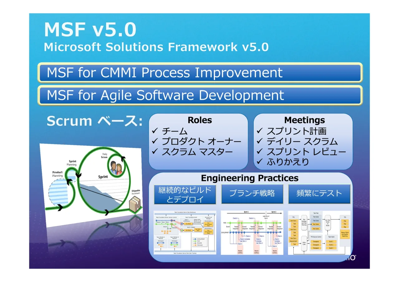 43 ページ：5ROHV 0HHWLQJV (QJLQHHULQJ3UDFWLFHV